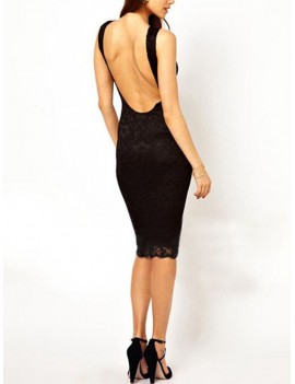 Sexy Lace Deep V-neck Transparent Sleeveless Backless Bodycon Women Dress