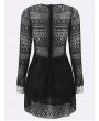 Sexy Lace See-through V-neck Long Sleeve Mini Dress For Women